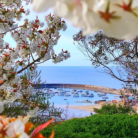 Seabreeze Lägenhet Lyme Regis Exteriör bild