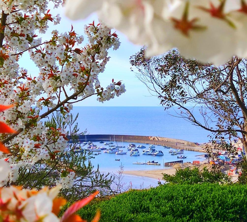 Seabreeze Lägenhet Lyme Regis Exteriör bild