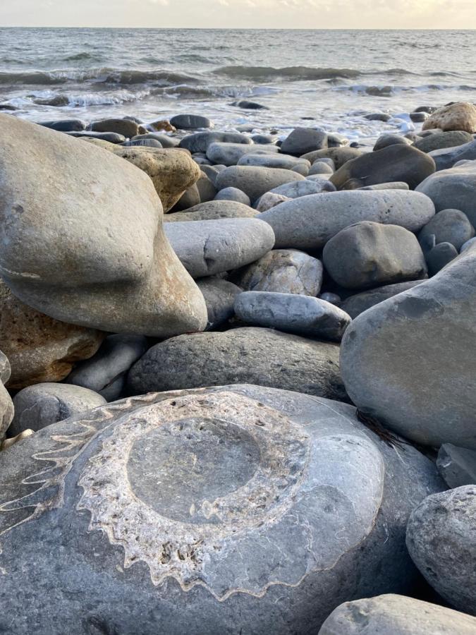 Seabreeze Lägenhet Lyme Regis Exteriör bild